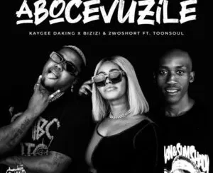 KayGee DaKing, Bizizi & 2woshort – Abocevuzile Ft. Toonsoul