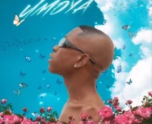 Skmatobela Mshaywaso – Imali Iyangishisa ft. Newlandz Finest & Jaycube
