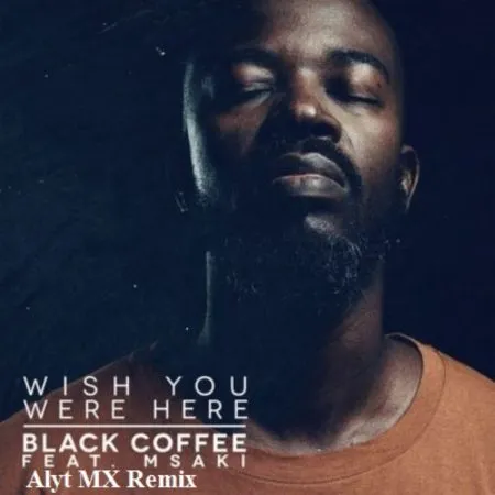 Black Coffee – Wish You Were Here ft. Msaki (Alyt MX Remix) [Mp3]