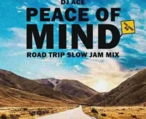 DJ Ace – Peace of Mind Vol 49 (Road Trip Slow Jam Mix)