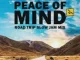 DJ Ace – Peace of Mind Vol 49 (Road Trip Slow Jam Mix)