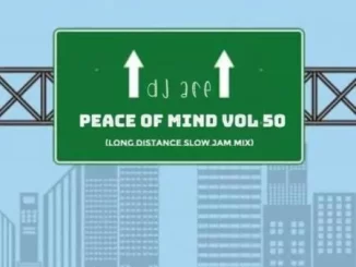 DJ Ace – Peace of Mind Vol 50 (Long Distance Slow Jam Mix)