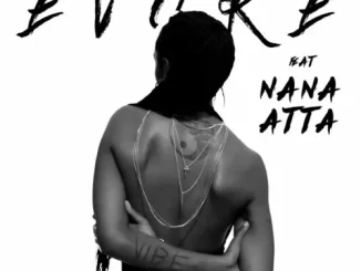 Evoke – Vibe ft. Nana Atta