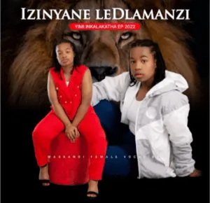 Izinyane le Dlamanzi – Isandla Somndeni