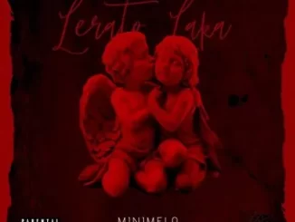 Minimelo – Lerato Laka ft Shaun K De Vocalist