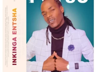 Potso Ngobese – Inkinga Entsha