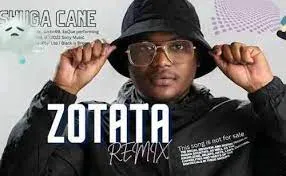 Shuga Cane – Zotata Remix