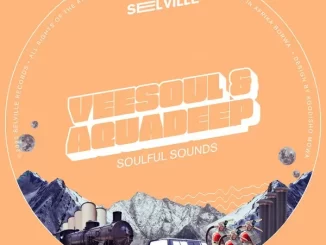 Veesoul & Aquadeep – Soulful Sounds