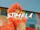 2Point1 – Stimela ft Ntate Stunna & Nthabi Sings