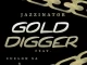 JazziNator & Pandizzo – ‎Gold Digger ft. Cuelon SA