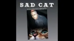 Killorbeezbeatz – Sad Cat
