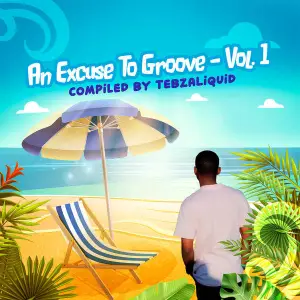 An Excuse To Groove, Vol. 1 (Compiled By TebzaLiquid)