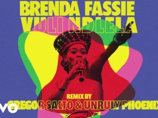 Brenda Fassie – Vuli Ndlela (Gregor Salto, Unruly Phonix & TAU Remixes)