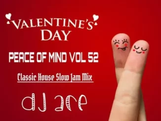 DJ Ace – Peace of Mind Vol 52 (Classic House Slow Jam Mix)