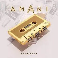 DJ Rally SA – ‎Amani