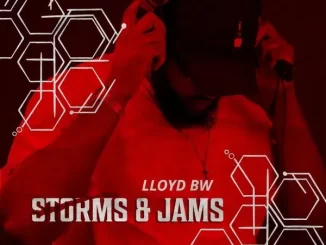 Lloyd BW – Storms & Jams