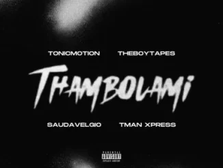 T-Man Xpress & TonicMotion – Thambolami (Saudavelgio & Theboy Tapes Remix)