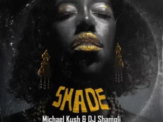 Michael Kush & DJ Shampli – Shade ft. Guyu Pane, Sam Kam, Chamberlain Y & Vinox Musiq