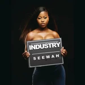 S.eemah_x – Industry