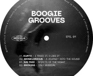 VA – Boogie Grooves 01