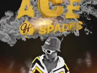DJ Ace – Ace of Spades ♠️ (Episode 13)