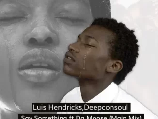 Luis Hendricks & Deepconsoul – Say Something ft. Da Moose