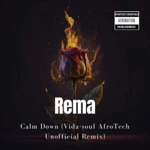 Rema – Calm Down (Vida-soul AfroTech Unofficial Remix)