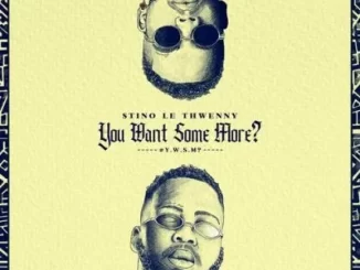 Stino Le Thwenny – You Want Some More ft Maglera Doe Boy