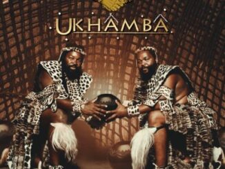 Inkabi Zezwe, Sjava & Big Zulu – Ukhamba