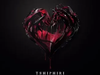 Major Disciple & Tondie Blvck – Tshiphiri