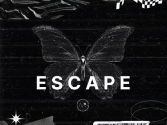 Mr G – Escape ft. Menaii
