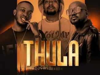 Nkanyezi Kubheka, Teddy & Salvation – Thula