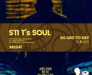 STI T’s Soul – So Sad to Say (Remixes)