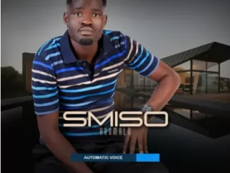 Smiso khumalo – Umjolo uyanyisa ft Mzukulu