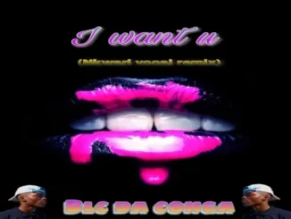 Blc Da Conga – I Want U (nkwari vocal mix)