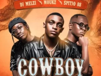 DJ Melzi – Cowboy VIIII (Rekere) ft Moukz & Spitjo88