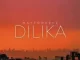 MattOnKeyZ – Dilika ft. Bailey RSA & Umthakathi Kush