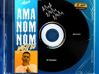 Msaro – Musical Exclusiv #AmaNom_Nom Vol.33 Mix