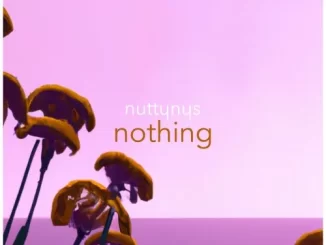 Nutty Nys – Nothing