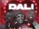 Sipho Magudulela – Dali ft Russell Zuma, Jessica LM & Frank Mabeat