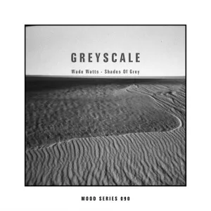 Wade Watts – Shades Of Grey