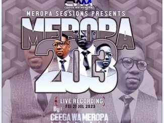 Ceega – Meropa 203 Mix (You Are What You Liste To)