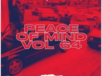 DJ Ace – Peace of Mind Vol 64 (Sunday Chillas Slow Jam Mix)