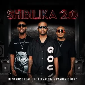 DJ Sandiso, Shibilika 2.0 ft. Pandemic Boyz & The Elevatorz