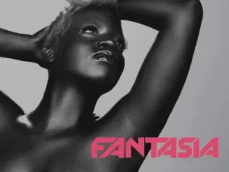 Fantasia – When I See U