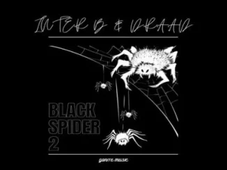 Inter B & Draad – Black Spider 2