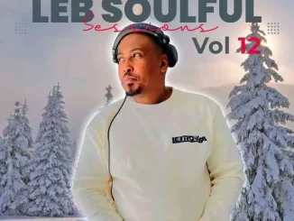 Lebtronik SA – LEB Soulful Sessions Vol. 12 (Winter Exclusive Mix)