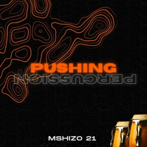Mshizo 21 & Justin99 – Take Note ft. Star Jazz & T & K Projects