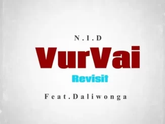 N.I.D – Vur Vai Revisit Ft. Daliwonga [Remix]