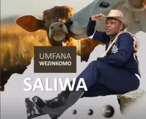 Saliwa – INsizwa noMansizwana